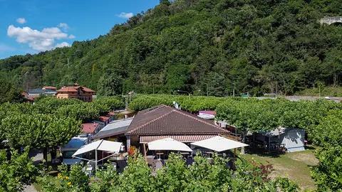 Verde Lago