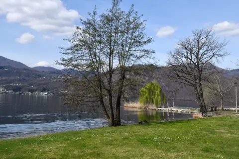 Verde Lago