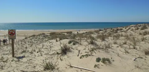 Camping Brémontier