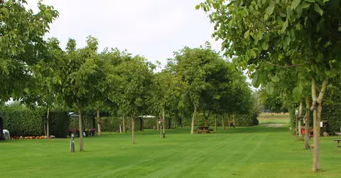 Boerderijcamping De Meet