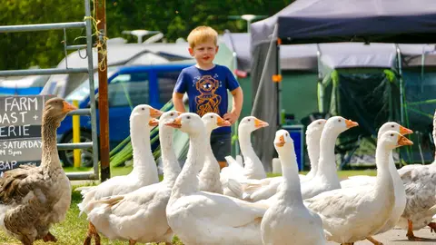 Norden Farm