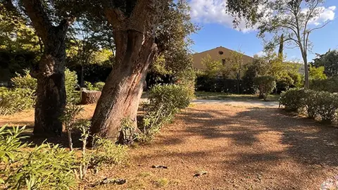 Le Parc de Bormes