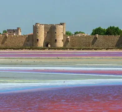 Les Chênes