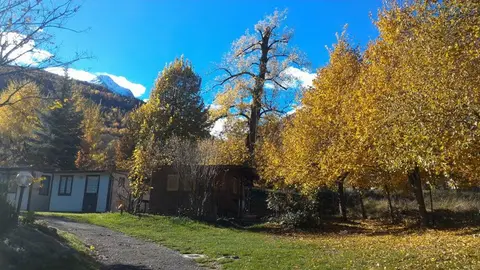 Il Castagneto