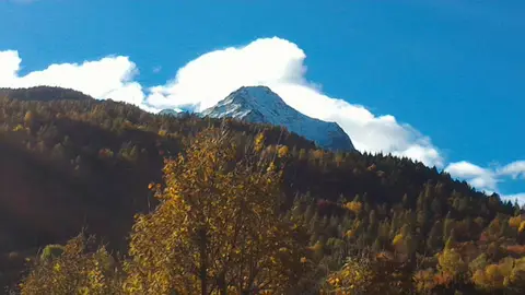 Il Castagneto