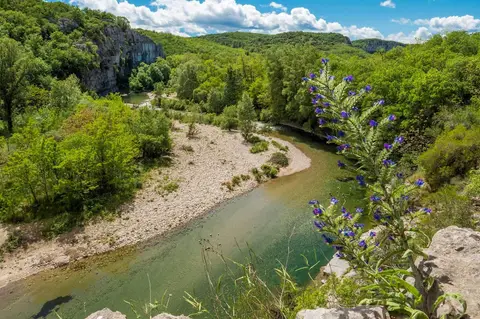 Camping du Lion