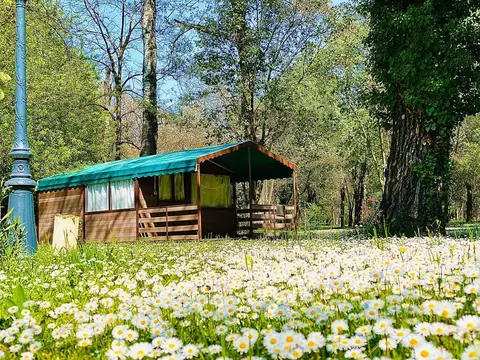 Camping du Lion