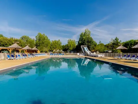 Les Demoiselles