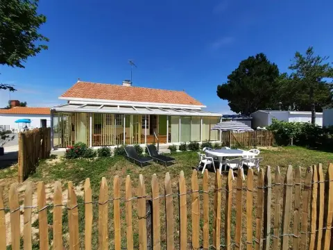 Les pins