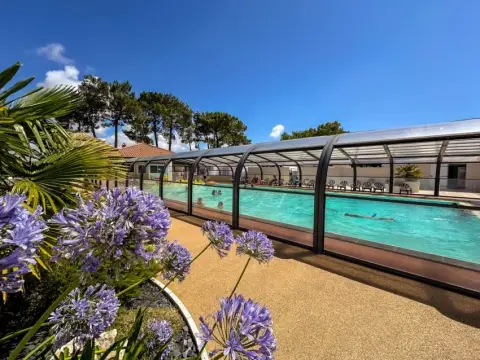 Les pins