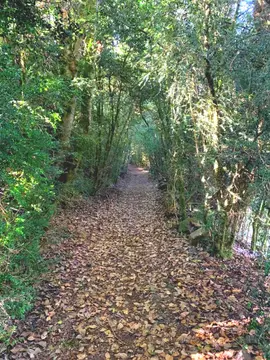 Juré zone de loisirs