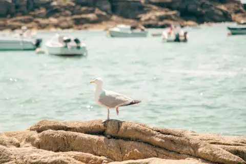 Camping La Pointe du Talud