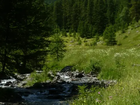 Camping GCU de Vallouise