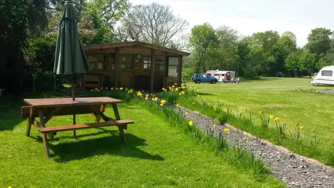 Brook Lodge Farm Camping & Caravan Park