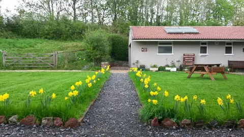Brook Lodge Farm Camping & Caravan Park