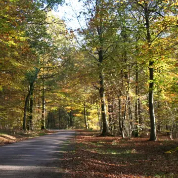 Aire Camping-cars Villers-sur-Mer