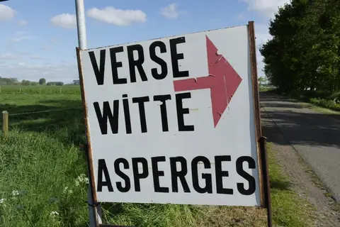 Camping Spitsbroek