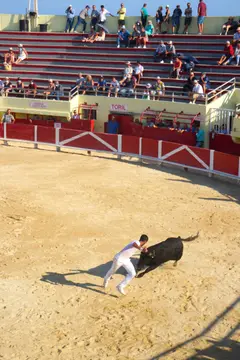 La Brise de Camargue