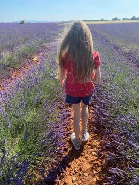 Camping le Luberon
