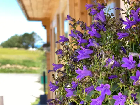 Aire naturelle de camping La Pâture