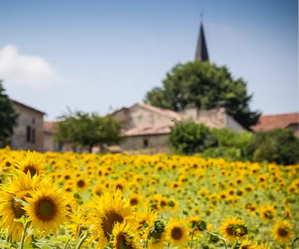 Huttopia Pays de Cordes-sur-Ciel