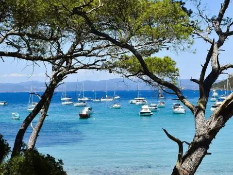 GCU Cavalaire Les Oliviers
