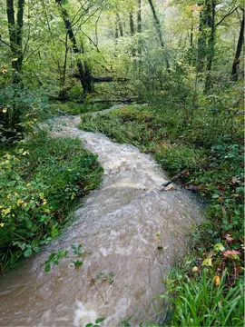 Camping du Pal