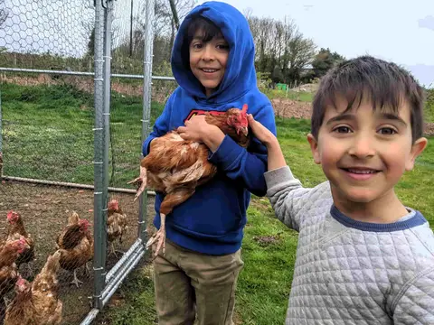Middle Stone Farm Glamping