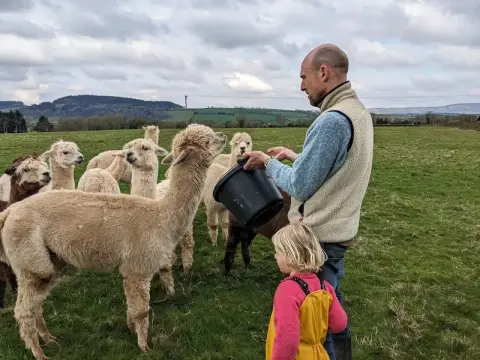 Middle Stone Farm Glamping
