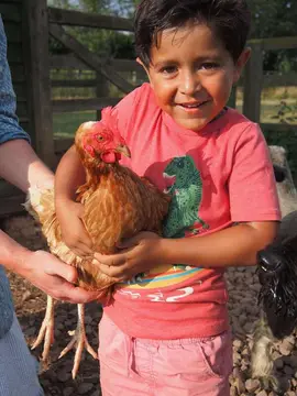 Middle Stone Farm Glamping