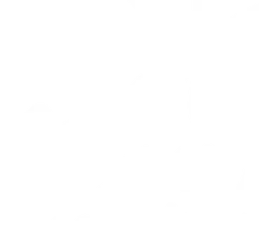 Flower Camping Saint Amand