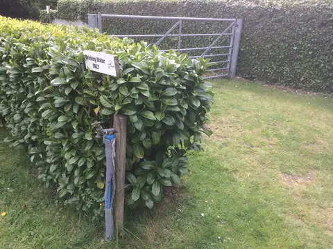 Applegarth Camping and Caravaning