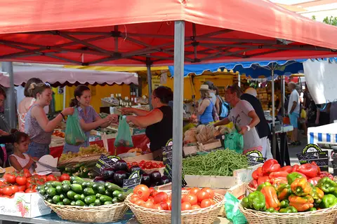 Hortes Loisirs
