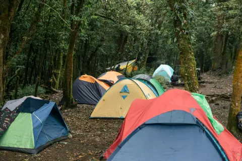 Camping de l'îlot