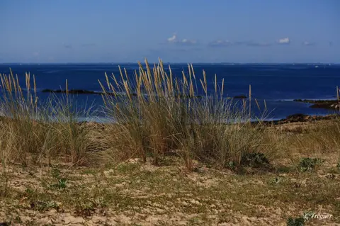 Camping de Saint-Pierre