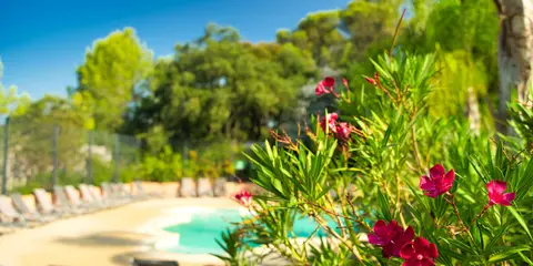 Les Jardins de La Pascalinette
