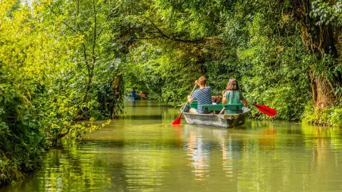 Camping Le Marais Sauvage