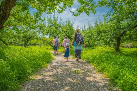 Camping Le Marais Sauvage