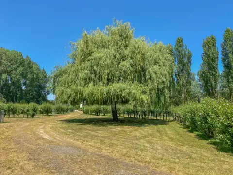 Camping Le Marais Sauvage