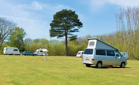 The Naturist Foundation