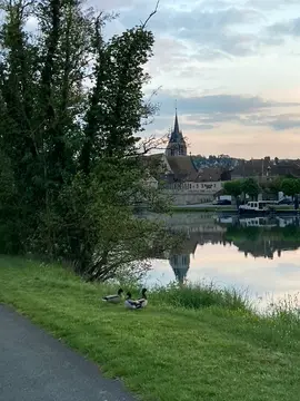 Campsite l'Île d'Amour
