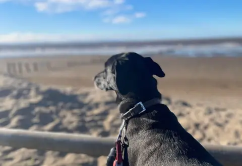 Beachside Holiday Park