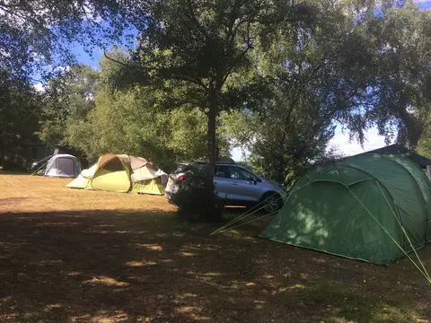 Tom's Field Camping