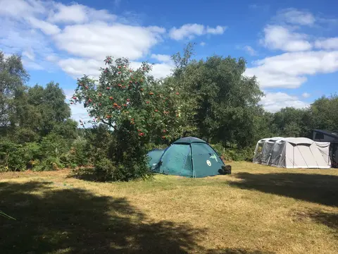 Tom's Field Camping