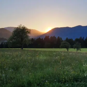 Agrocamping Kmetija Weiss