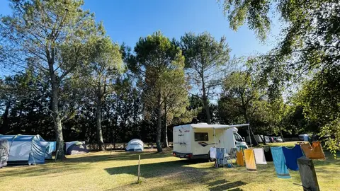 Aire naturelle de camping Les grands chênes et les ajoncs