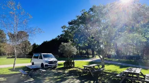 Aire naturelle de camping Les grands chênes et les ajoncs