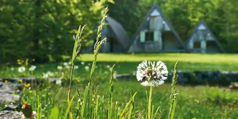 Walchenseecamp
