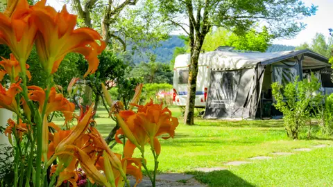 Camping En Salvan
