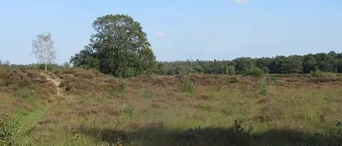 Minicamping De Huifkar